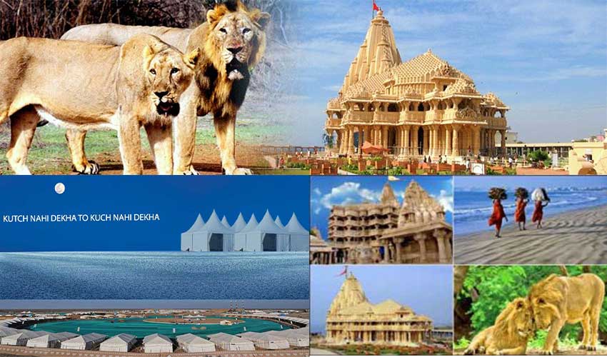 Online-Tour-and-Travel-Saurastra.jpg?profile=RESIZE_710x